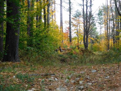 0 2nd New Hampshire Turnpike N unit 6, Deering, NH 03244 - photo 3