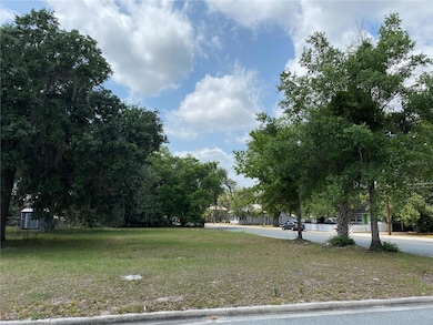 118 N Dillingham Ave, Kissimmee, FL 34741 - photo 4