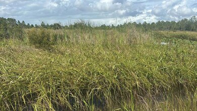 16057 NW 308th St, Okeechobee, FL 34972 - photo 4