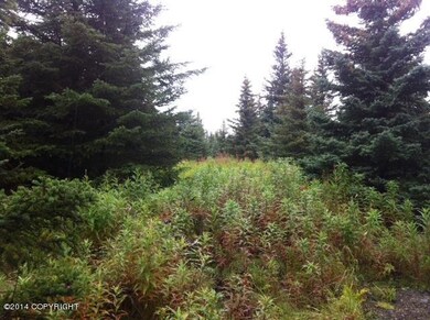 photo 3 (20)
