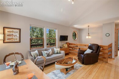 565 Ridge Rd, Divide, CO 80814 - photo 7