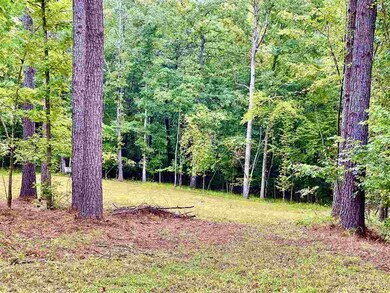 5102 Nevis Dr unit 99, Oxford, MS 38655 - photo 4