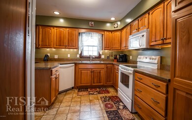 223 Henry Ave, Hughesville, PA 17737 - photo 7