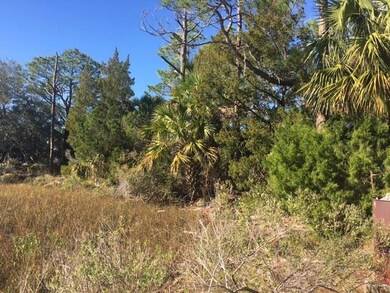 XX Mill Creek Rd, Crawfordville, FL 32327 - photo 6