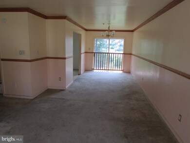 6103 Ray Ct, Hyattsville, MD 20783 - photo 4