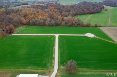 325 Bertha E Dumey Dr, Benton, MO 63736 - photo 4