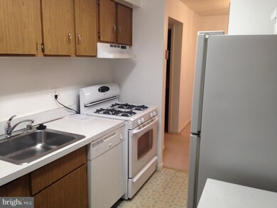 11208 Chestnut Grove Square unit 209, Reston, VA 20190 - photo 6