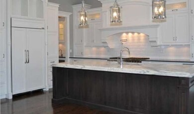 437 S Hill Ave, Elmhurst, IL 60126 - photo 4