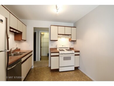 252 Appletree Ct unit 252, Buffalo Grove, IL 60089 - photo 5