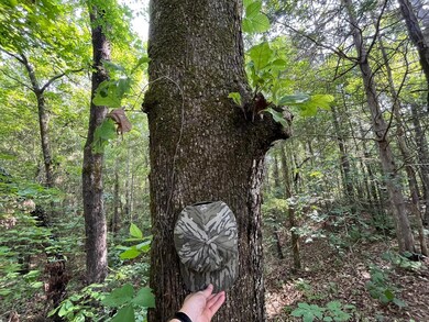 0 Hudspeth Rd, Hickory Flat, MS 38633 - photo 7