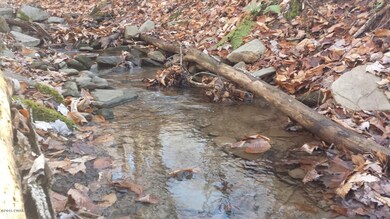 0 Siko Rd unit PWB155722, Honesdale, PA - photo 2