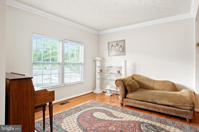 9003 Phillip Dorsey Way, Columbia, MD 21045 - photo 4