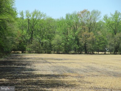 3228 Thompsonville Rd, Milford, DE 19963 - photo 4