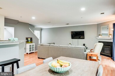 4520 Superior Square, Fairfax, VA 22033 - photo 5