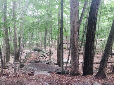 125 Lookout Dr, Hawley, PA 18428 - photo 6