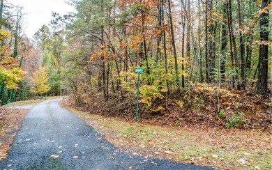Additional View