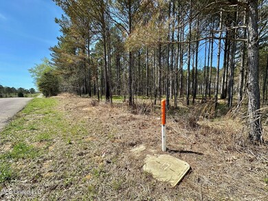 0 Morgan Rd, Canton, MS 39046 - photo 3