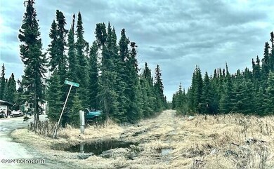 unmaintained road