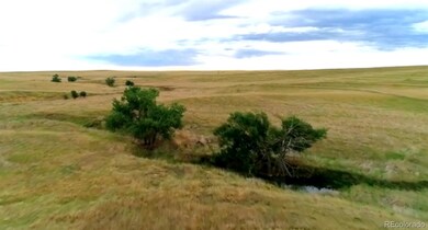 Lot 8 with pond in bottomlands