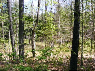 00 Newfane Hill Rd, Newfane, VT 05345 - photo 5