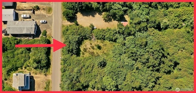 525 Sand Dune Ave SW, Ocean Shores, WA 98569 - photo 3