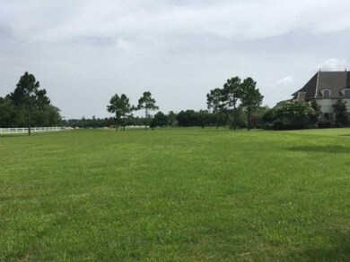 Yard/Garden.