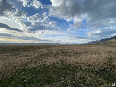 31 Hwy 30, Cokeville, WY 83114 - photo 3