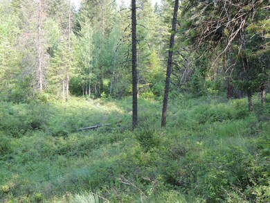 DSCN3783