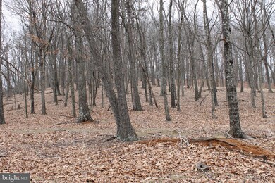 0 Push Root Rd unit WVMI111820, Burlington, WV 26710 - photo 6