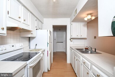 1510 Ludwick St, Keyser, WV 26726 - photo 7