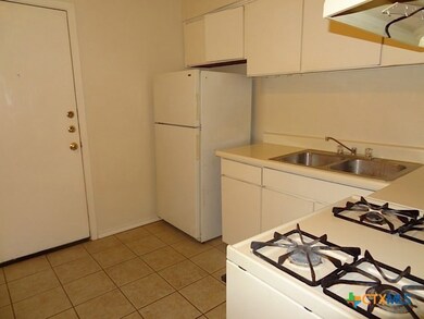1231 N Lbj Dr unit 3, San Marcos, TX 78666 - photo 4