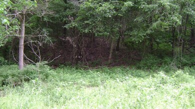 DSC02813 (1024x576)