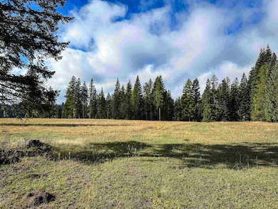 320871 U S Highway 2, Newport, WA 99156 - photo 2