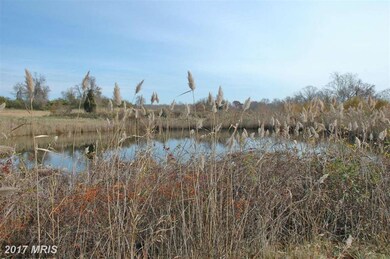 0 Pond Neck Rd unit 1001673633, Earleville, MD 21919 - photo 6