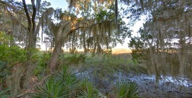 420 Pikes Bluff Drive (Lot 214), St. Simons Island, GA 31522 - photo 4