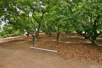 CLEAN, WELL MAINTAINED GROVE, PROFESSIONALLY MANAG