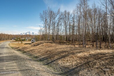 Lot Photos-2 copy