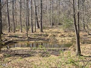 Tbd Carr Store Rd, Cedar Grove, NC 27231 - photo 7