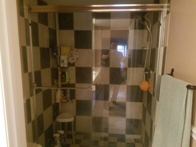 Master shower (1)