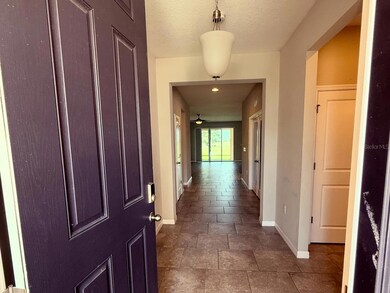 14823 Trinity Fall Way, Bradenton, FL 34212 - photo 2