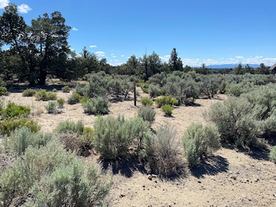 0 SW Brasada Ranch Rd unit Homesite 640, Powell Butte, OR 97753 - photo 4