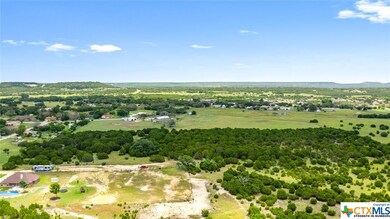 10.131 acres Hawk Ln, Kempner, TX 76539 - photo 4