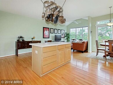 21492 Rusty Blackhaw Square, Sterling, VA 20164 - photo 6