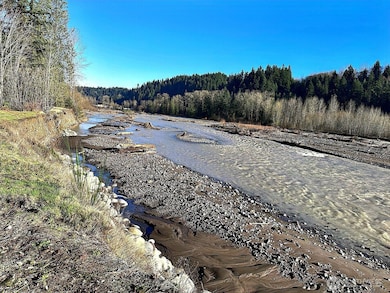 17118 226th St Ct E, Graham, WA 98338 - photo 5