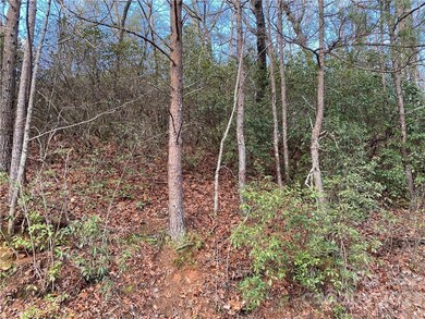 Lot 117 Sanderling Ct, Lake Lure, NC 28746 - photo 2