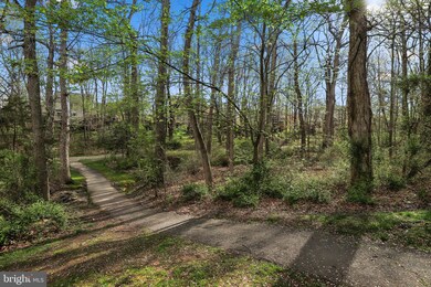 1611 Fieldthorn Dr, Reston, VA 20194 - photo 6