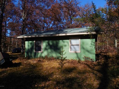 3355 W 8th St, Baldwin, MI 49304 - photo 4