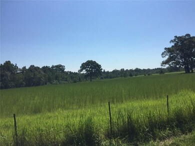 0 Sam Varnado Rd, Franklinton, LA 70438 - photo 5