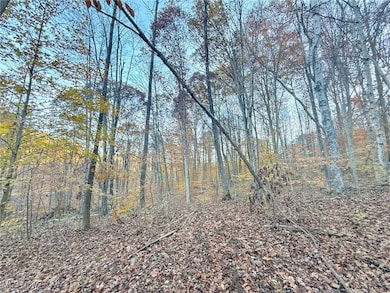 0 W Deaver Rd, McConnelsvle, OH 43756 - photo 7