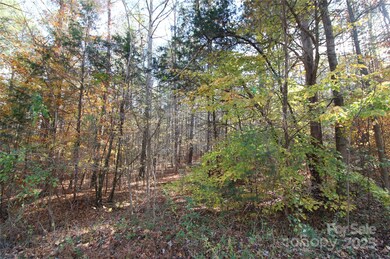 Lot 3 6.5+/-AC Bookout Rd, Rock Hill, SC 29730 - photo 3
